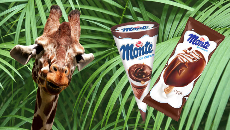 Novi člani Monte sladoledne družine