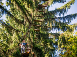 Pustolovski park Geoss