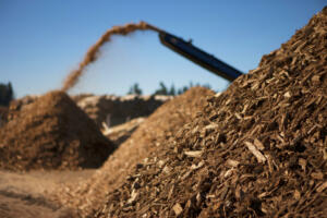 Lesno biomaso je Avstralija dekvalificirala kot obnovljiv vir energije