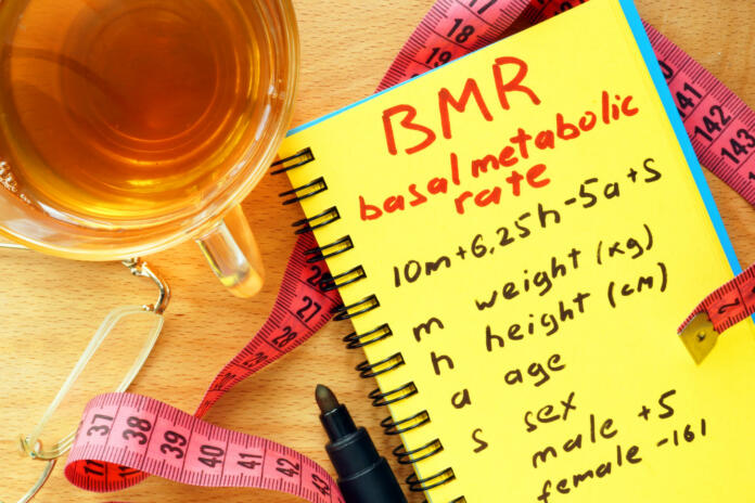 Izračun bazalnega metabolizma