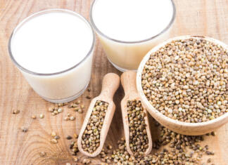 Recept za konopljino mleko, ki je za mnoge boljše od klasičnega Konopljino mleko, recept in prednosti