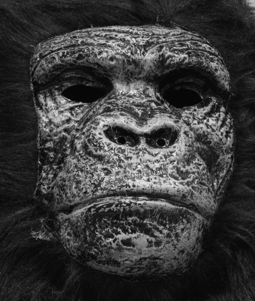 Gorilla Face Mask Cut Out Costume used for Halloween