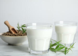 Konopljino mleko, super alternativa, bogata z vitamini in minerali Konopljino mleko prinaša veliko dobrih lastnosti in zdravih snovi