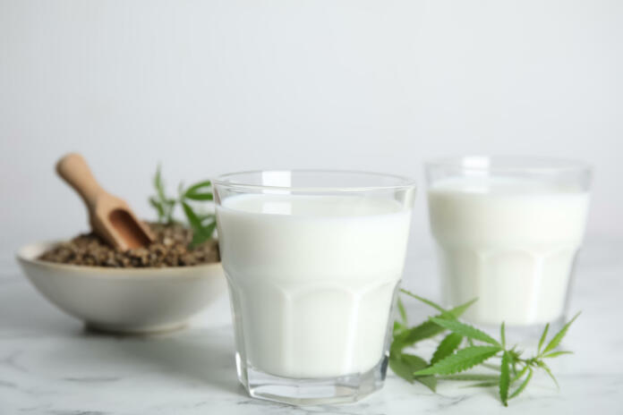 Konopljino mleko prinaša veliko dobrih lastnosti in zdravih snovi