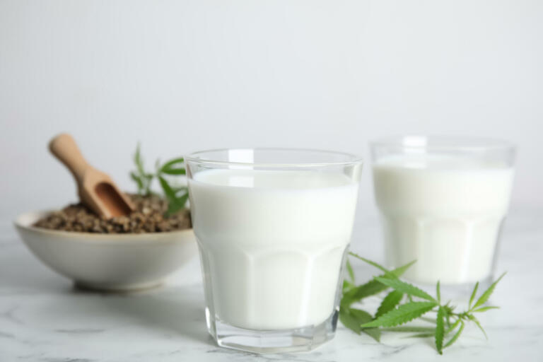 Konopljino mleko, super alternativa, bogata z vitamini in minerali