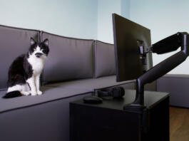 Modern computer monitor or TV set is mounted on a small table using a gas-lifted metal swivel arm. Next to headphones, computer mouse, large loft sofa and funny cat. Daylight
