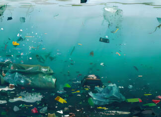 Grozno! Strašljiv odstotek mikroplastike v telesih morskih bitij Mikroplastika v morskih bitjih je prisotna v maščobah in pljučih