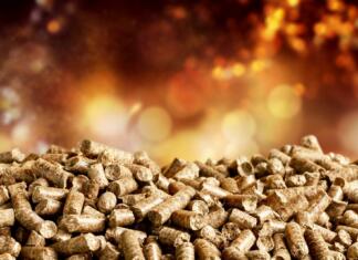 Lesna biomasa ni obnovljiv vir! Se stroka strinja? Lesna biomasa ni obnovljiv vir energije, pravijo Avstralci