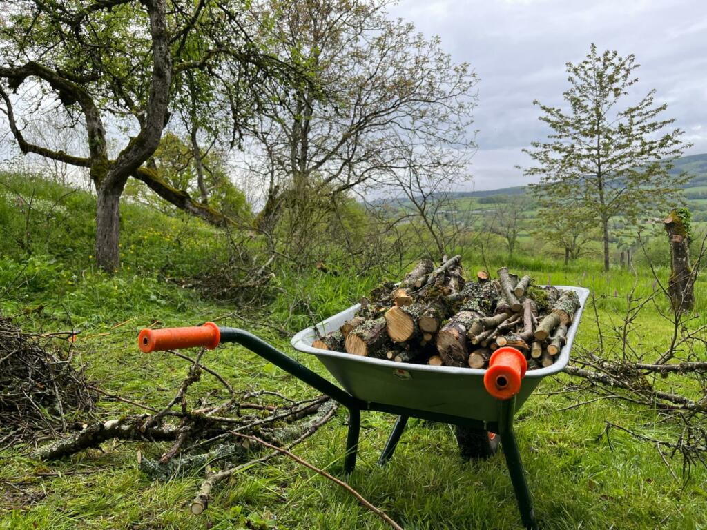 Wheelbarrow with chopped wood