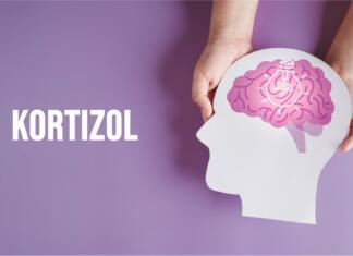 Kortizol od A do Ž: Kaj je in zakaj ga rabimo? Kortizol od A do Ž, vse o kortizolu
