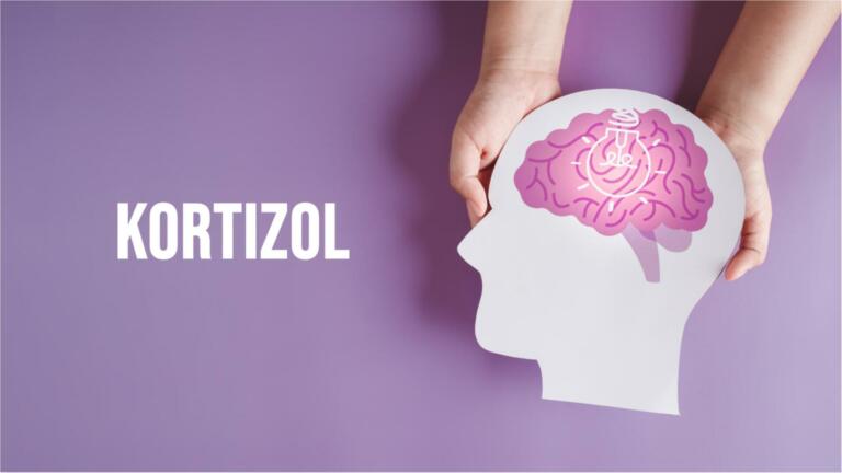 Kortizol od A do Ž: Kaj je in zakaj ga rabimo?