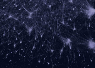 Odkritih na stotine novih beljakovin: Zahvala strahu in trepetu človeštva Posnetek interaktivnega omrežja »Atlas vesolja beljakovin«.