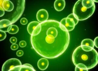 Znanstveniki s pomočjo umetne inteligence ugotovili veliko skrivnost celic Umetna inteligenca je znanstvenikom pomagala pri razkritju skrivnosti celic