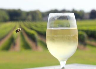 V kozarec je padla muha: Je pijačo varno spiti? Jo je bolje zliti stran in pomiti kozarec? Pitje vina, če je v njem vinska mušica