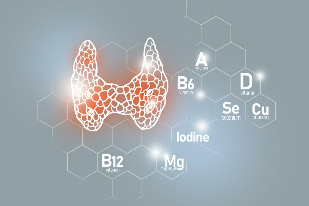 Design set of human organs with molecular grid, micronutrients and vitamins on light gray background.