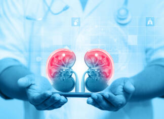 Lahko umetna ledvica bolnike končno osvobodi dialize? Nephrologist listens to the kidneys on medical background. 3d illustration