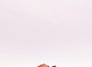 Recept za najboljšo torto Robida Kos torte na krožniku, poleg je pol jagode