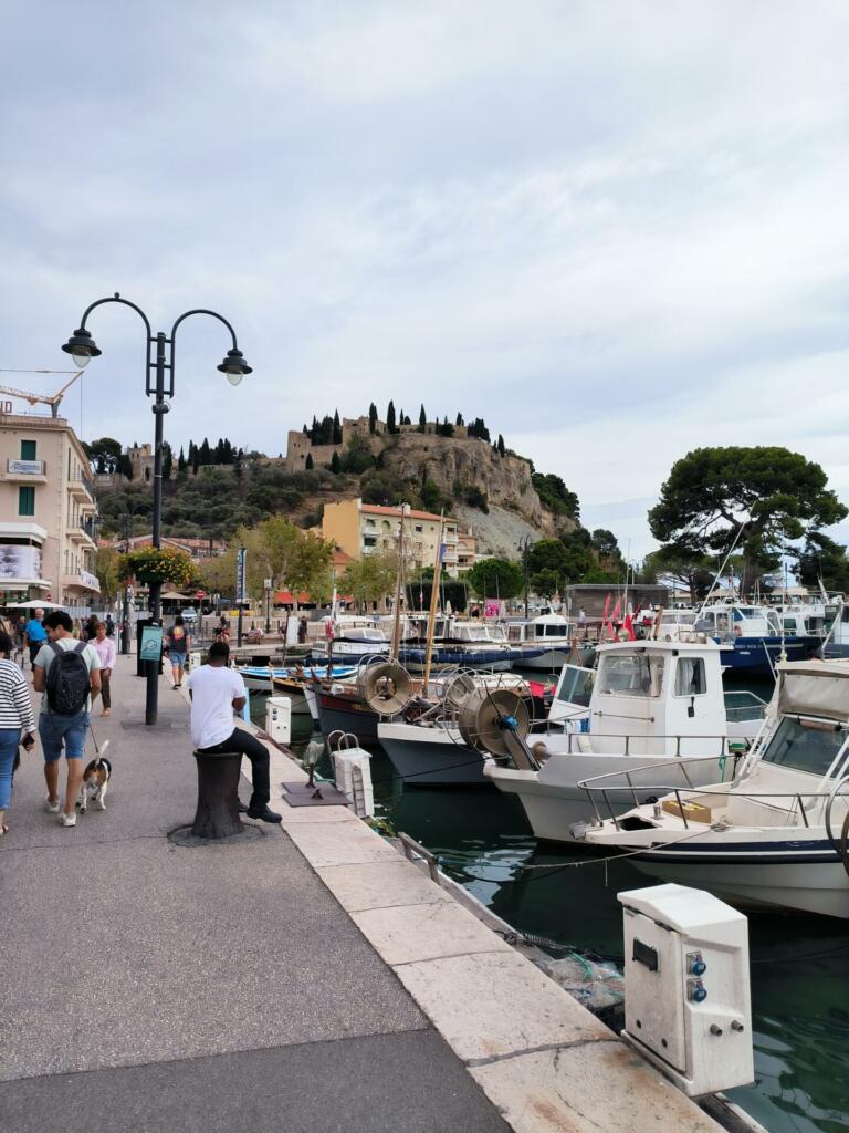 Cassis.