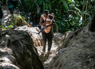 V džungli med Panamo in Kolumbijo odkrivajo trupla: kaj se dogaja? Prečkanje Darienske vrzeli je pogosto edina odločitev za begunce