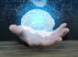 Ali se obeta največji napredek v nevroznanosti? Videti je že tako Abstract palm hands holding brain with network connections, innovative technology in science and communication concept