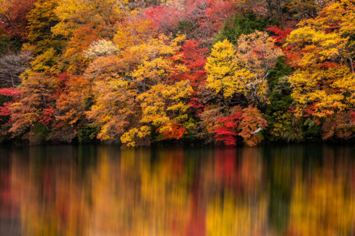 Autumn in Lake District.Colourful trees reflecting in calm water surface.Bright and vibrant landscape scene.Nature background.Autumn walk.