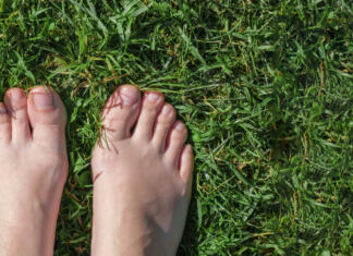 Katere so prednosti in slabosti bosonoge obutve? Bare feet on green grass. Selfie. Female feet on the green grass. Rustic lifestyle. View from above. Woman standing on a grass field. Top view. Freedom, summer relax concept. Earth Day.