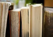6 knjig, ki jih to poletje priporočajo vsakemu ljubitelju mladostniškega branja knjige s strani