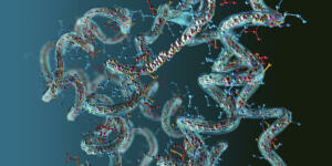 Chain of amino acid or bio molecules called protein - 3d illustration