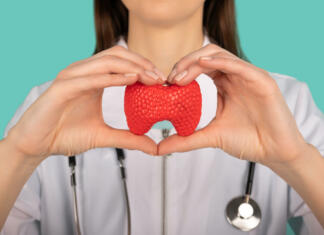 Ščitnica in ščitnični hormoni, brez njih ne gre Ščitnica in ščitnični hormoni