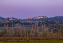 Provansa – Odcvetela sivka, drag javni prevoz, pa vendar očarljivost, ki ji ni para (POTOPIS) Potopis Provansa