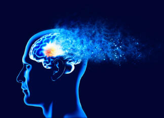 Alzheimerjeva bolezen je povezana tudi s črevesjem Memory lapses, forgetting things, degenerative disease. Brain problems. Parkinson and alzheimer desease. Mental health. Stroke, synapses and neurnons interaction. Face side view. 3d rendering