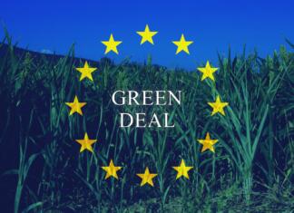 Bo Evropski Green Deal pokopal slovenskega kmeta? Evropski zeleni dogovor oziroma European Green Deal: Kaj prinaša za slovenskega kmeta?