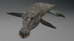 Primer pliozavra, kot je Lorrainozaver, ki je bil najden v Franciji