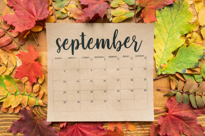September calendar sheet with multiple autumn leaves of red, yellow and green color