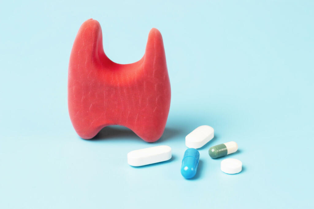 Thyroid model and pills on a blue background front view, copy space