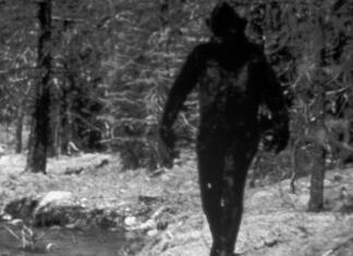 Orang Pendek: Bolj resničen mit kot Bigfoot? Orang pendek ali bigfoot, kaj je bolj resnično