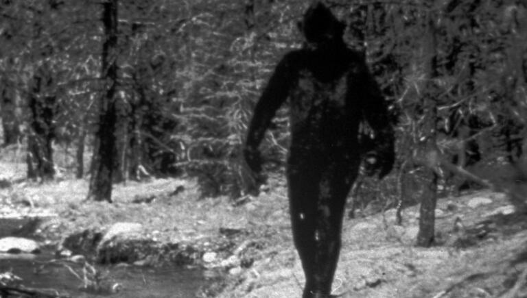 Orang Pendek: Bolj resničen mit kot Bigfoot?