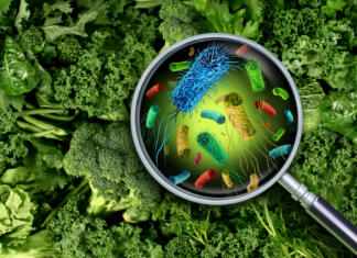 Najnevarnejše in najbolj odporne bakterije Najnevarnejše bakterije na svetu in najbolj odporne bakterije