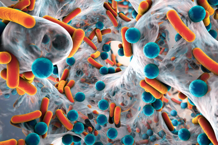 Biofilm of antibiotic resistant bacteria. Rod-shaped and spherical bacteria. Escherichia coli, Pseudomonas, Mycobacterium tuberculosis, Klebsiella, Staphylococcus aureus, MRSA. 3D illustration