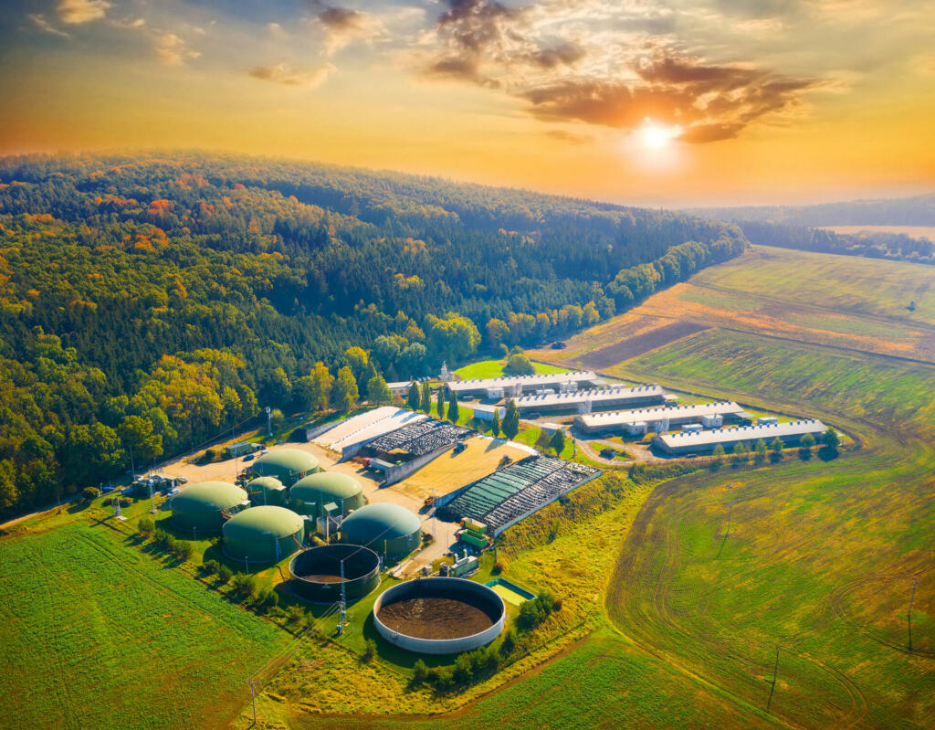 Biogas plant and farm in blooming rapeseed fields. Renewable energy from biomass. Aerial view to modern agriculture in European Union.