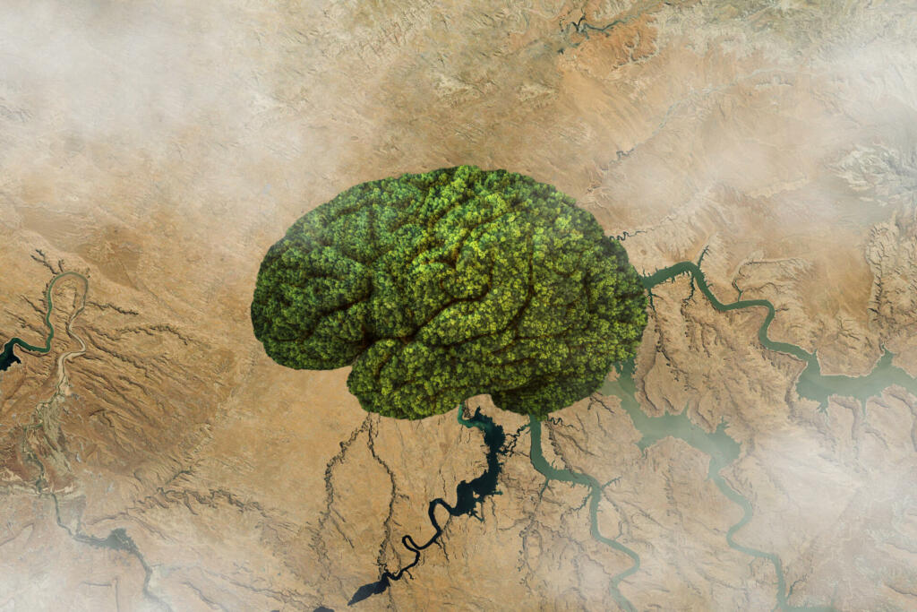 Brain-shaped forests in the desert, aerial view. Think and global warming, concept. Creative idea and green plants growth. Healthy brain and thinking