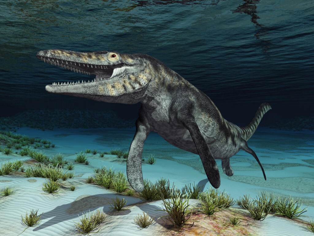 Computer generated 3D illustration with the prehistoric mosasaur Tylosaurus