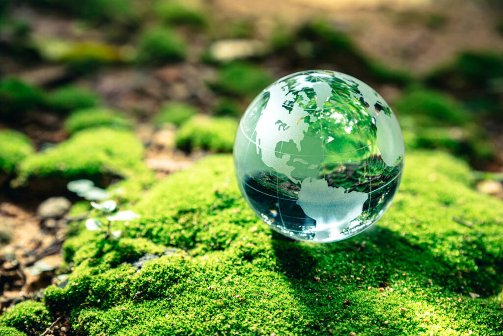 Crystal globe putting on moss, ecology and environment sustainable concept.