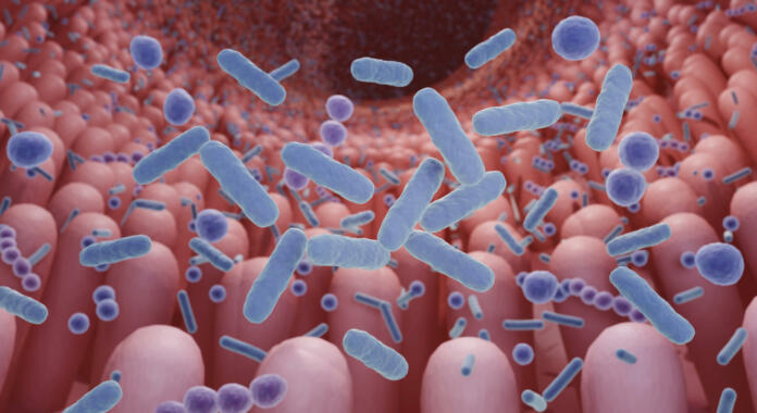 Healthy microbiome concept, Intestinal bacteria