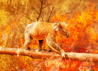 Pojavila se je nova posledica klimatskih sprememb, ki bi nas morala skrbeti Kako klimatske spremembe vplivajo na človeka?