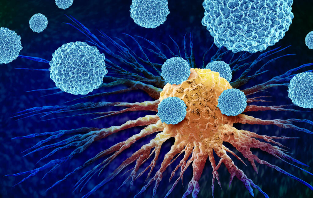 leukocytes attacking a Cancer Cell as an oncology or Malignant Cancerous Growth and Metastasis anatomy concept as white blood cells inside the human body as a 3D illustration.
