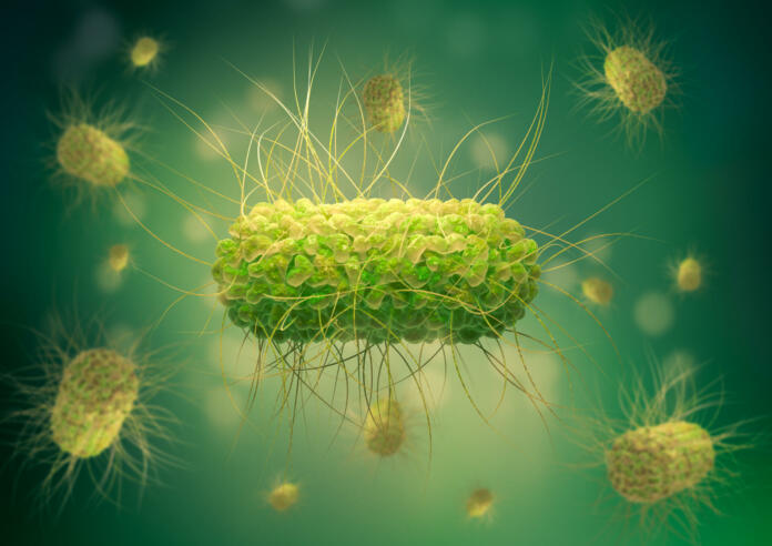 Salmonella is a bacterium that causes food poisoning in humans. 3D illustration