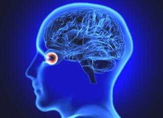 Kako vidijo naši možgani? Nevroznanost ima razlago The human eye is an organ that reacts to light and allows vision. Rod and cone cells in the retina allow conscious light perception and vision including color differentiation and the perception of depth. The human eye can differentiate between about 10 million colors and is possibly capable of detecting a single photon. The eye is part of the sensory nervous system.