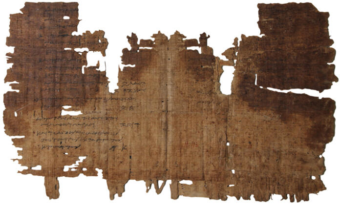 Papirus, del najstarejše knjige na svetu