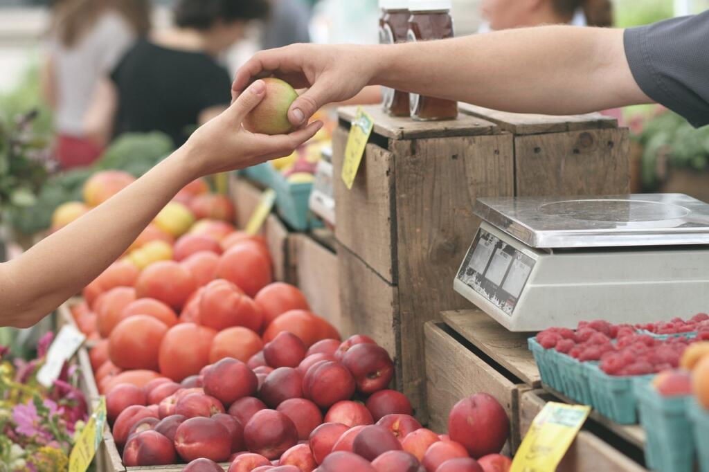 apples, farmer's market, buy